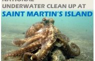 Corals Facing Survival Crisis at Saint Martin’s Island