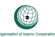 OIC foreign ministers meet over roadmap on ending Israeli violence