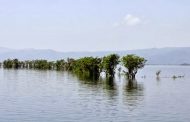 “TANGUA HAOR”, Ramsar Site, Wetlands Gene Bank of Bangladesh