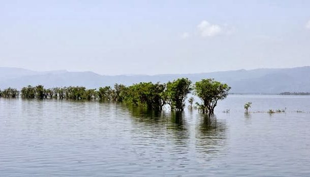 “TANGUA HAOR”, Ramsar Site, Wetlands Gene Bank of Bangladesh