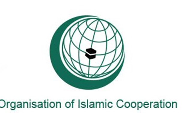 OIC foreign ministers meet over roadmap on ending Israeli violence