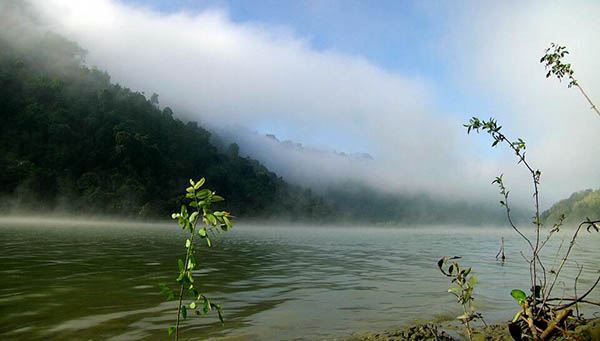 UPLAND FRESHWATER SWAMP DISCOVERED FROM RANGAMATI, BANGLADESH