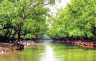 Telecommunications to be revived in Sundarbans