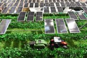 INTERSOLAR EUROPE 2022: INNOVATIVE PHOTOVOLTAIC PROJECTS AND TECHNOLOGY FOR AGRICULTURE